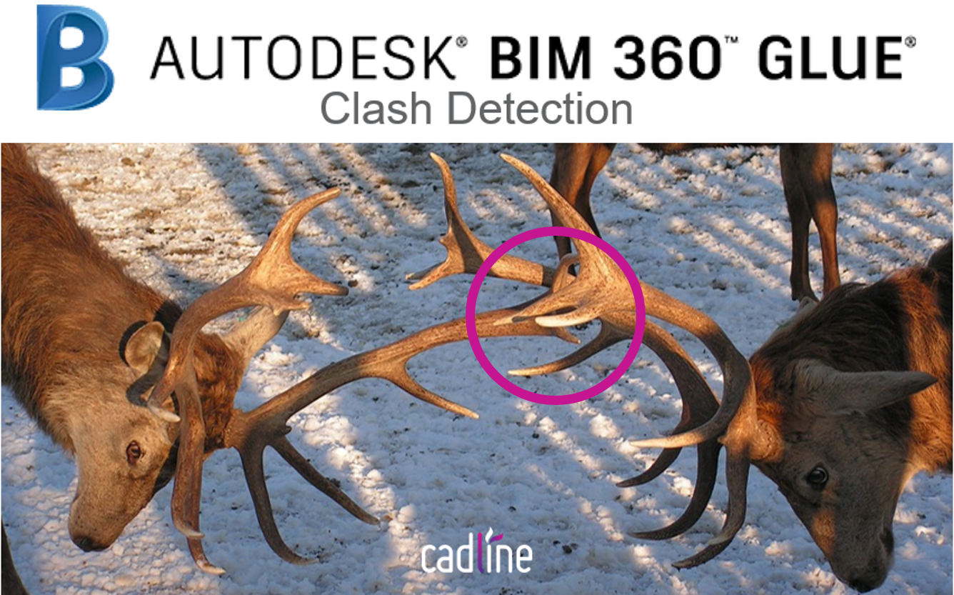 BIM360_Glue_Clash.png