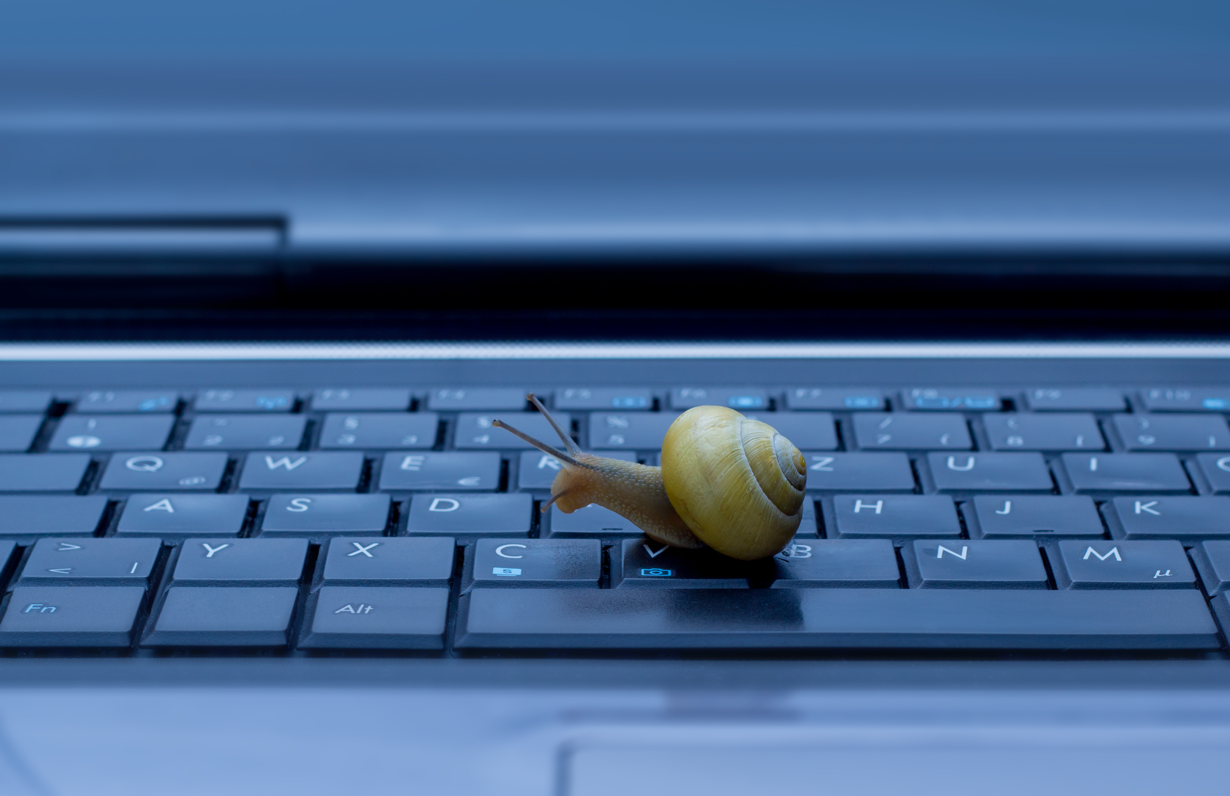 shutterstock_140673649.jpg