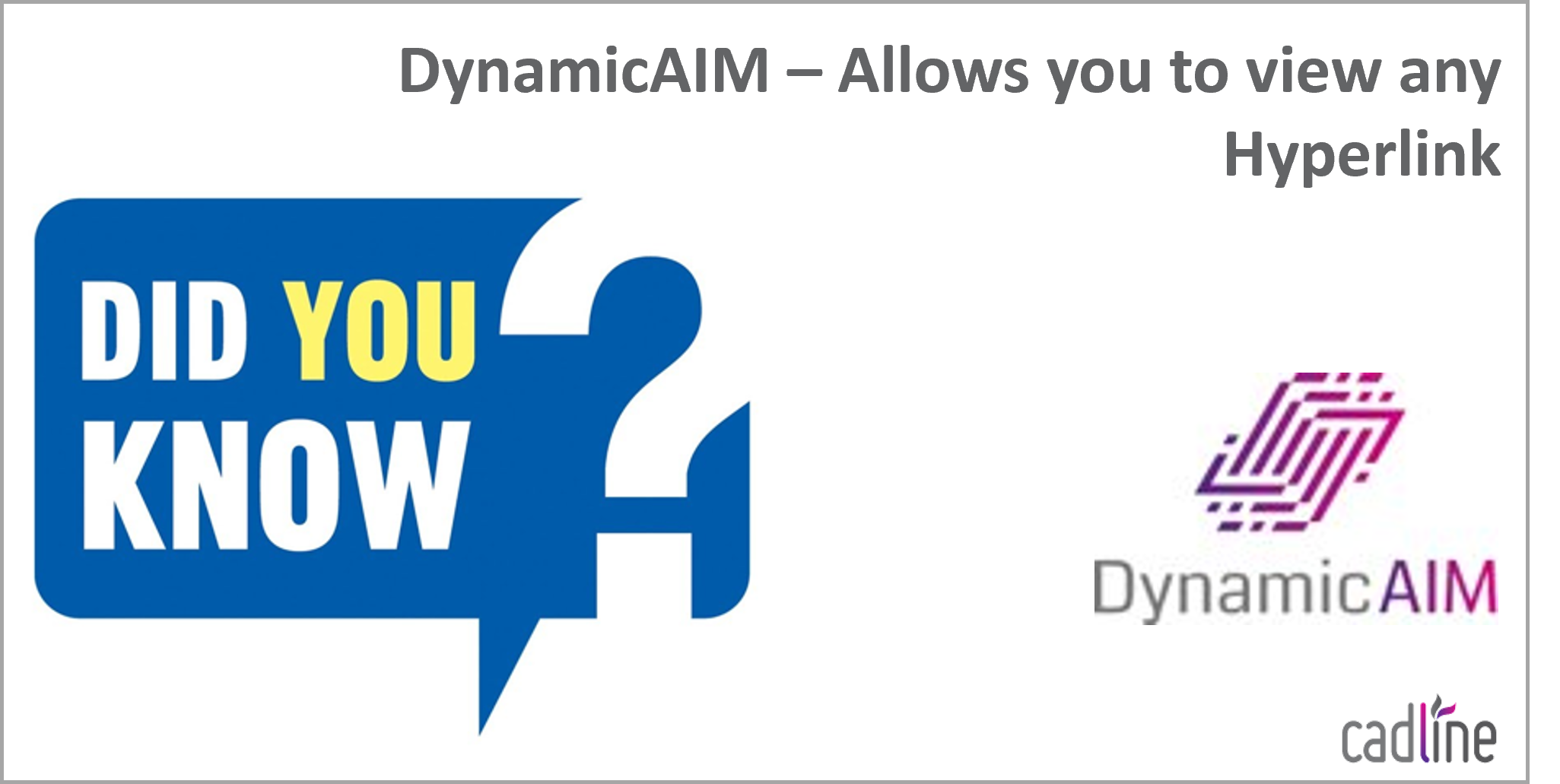 DynamicAIM___Hyperlinks_-_1.png