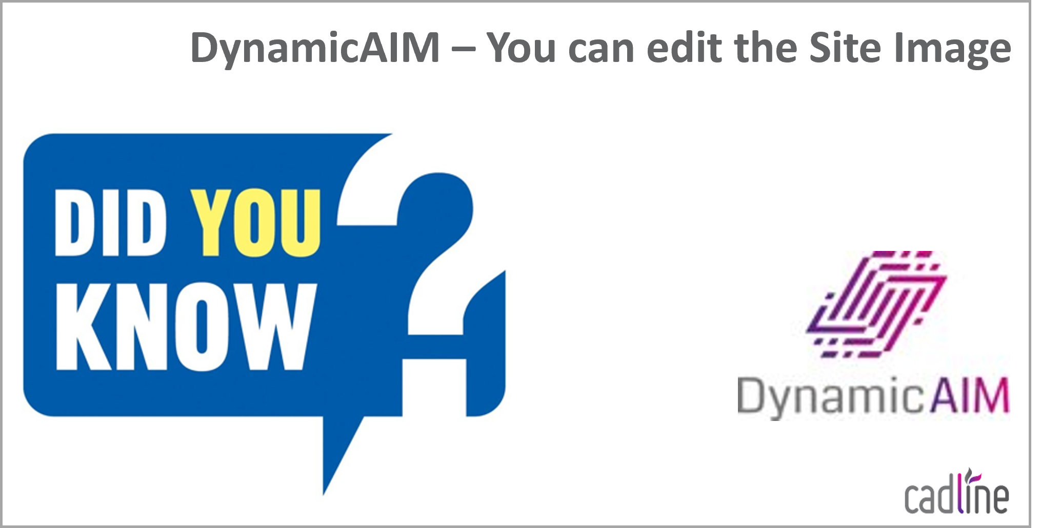 DynamicAIM___Edit_Site_Image_-_1.png