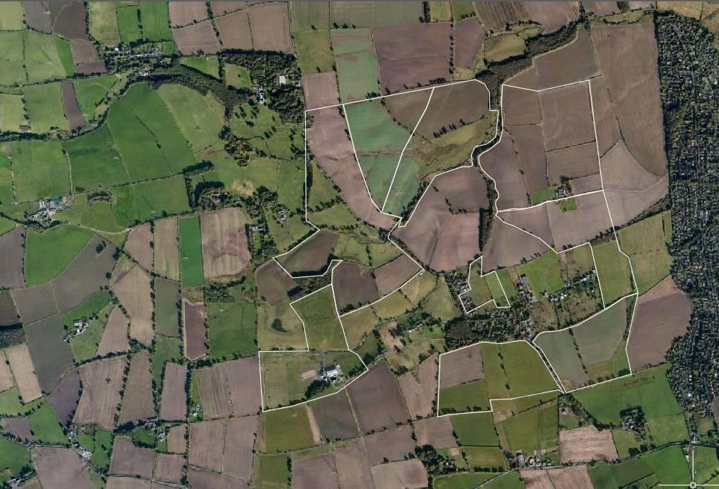 pic1.jpg